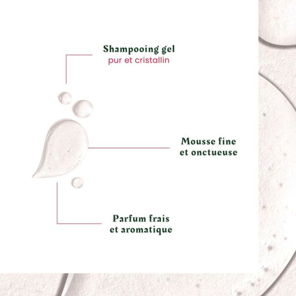 Neopur - Shampooing anti-pelliculaire - Cuir chevelu gras 150 ml