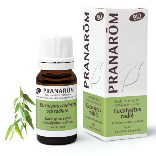 Huile Essentielle Eucalyptus radié - 10 ml