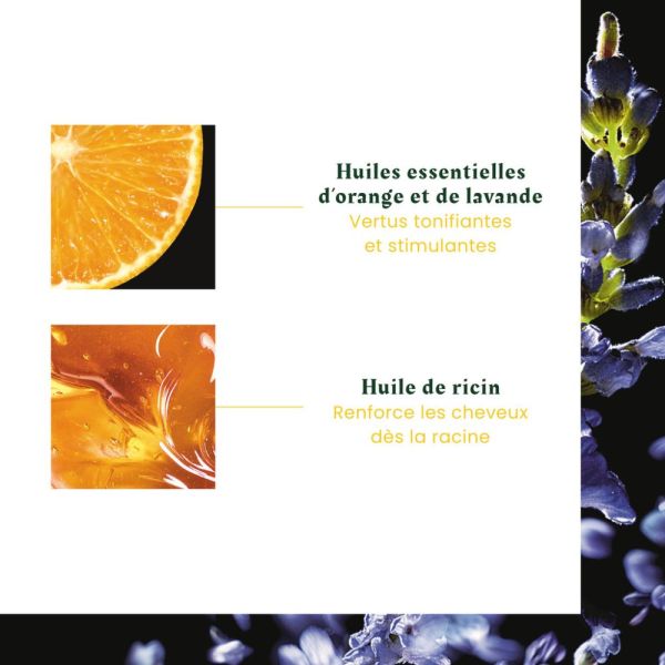 Complexe 5 - Concentré végétal stimulant aux huiles essentielles chaudes - soin cuir chevelu 50 ml