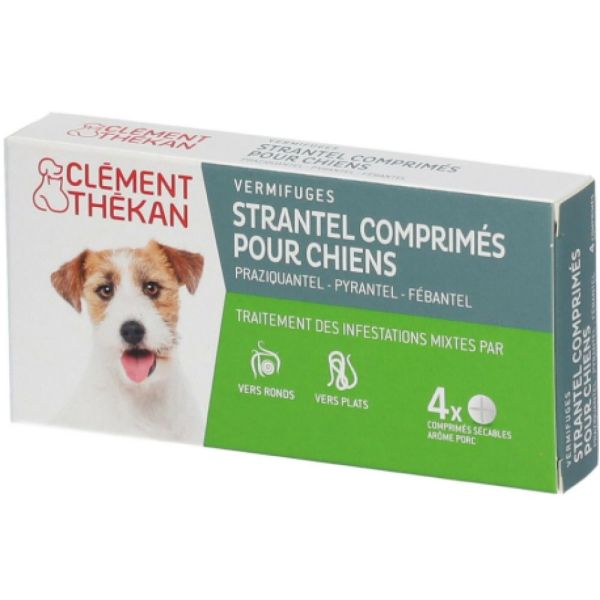 Strantel Chien - 4 Comprimés